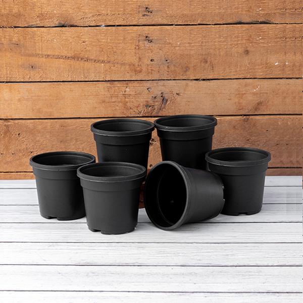 4 inch (10 cm) Grower Round Plastic Pot