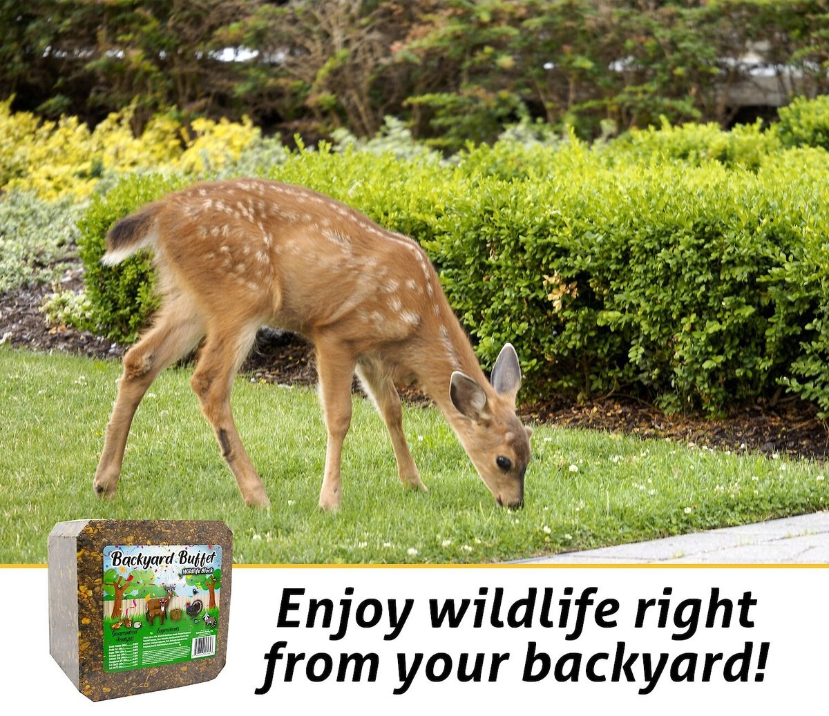 Backyard Buffet Wildlife Treat， 20-lb block