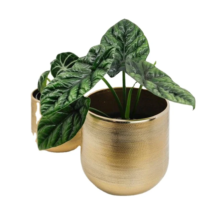 Handcrafted Indoor Outdoor Gold Polished Metal Planter Garden Usage Customized Size Metal Planter Made in India