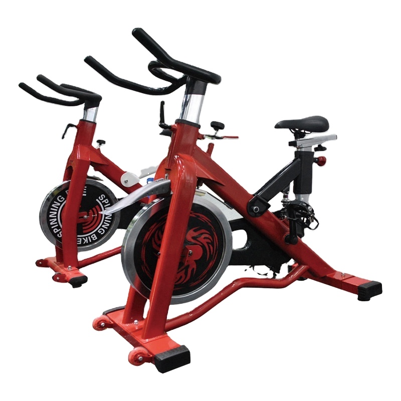 Good Quality Fitness Home Lifefitness Cardio Equipment Exercise Bike With Free Painting Color