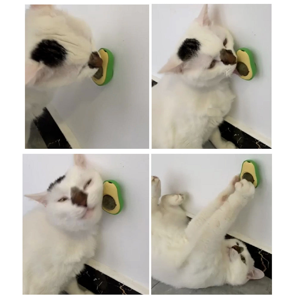 Zexumo 2 Pcs Catnip Wall Ball， Rotatable Treats Toys， Creative Avocado Catnip Ball， Kitty Toys for Cats Licking Ball