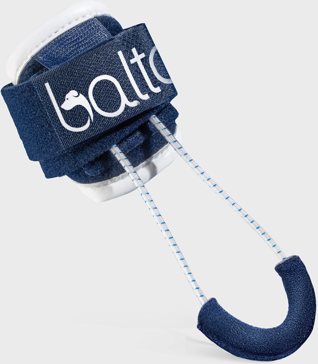 Balto Pull Hyperflexion Phalanges Dog Brace