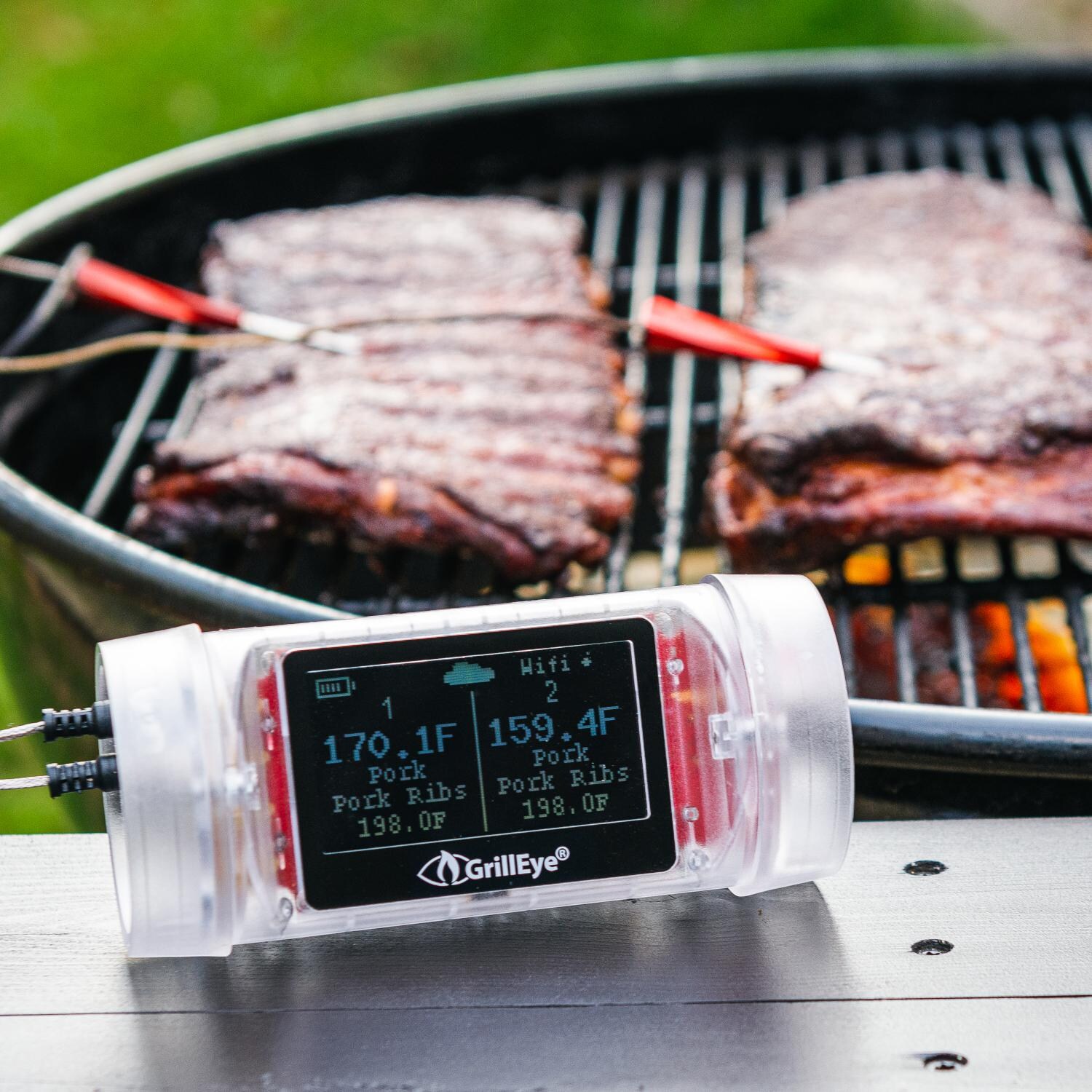 GrillEye Max Wireless Grilling and Smoker Smart Thermometer W/ 2 Probes