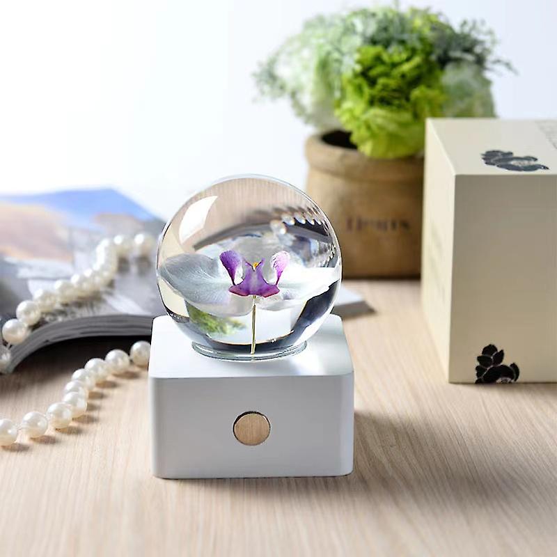 Crystal Ball Nightlight Phalaenopsis Night Light Creative Birthday Gift Beech Base Luminous Resin Led Lamp Pendant