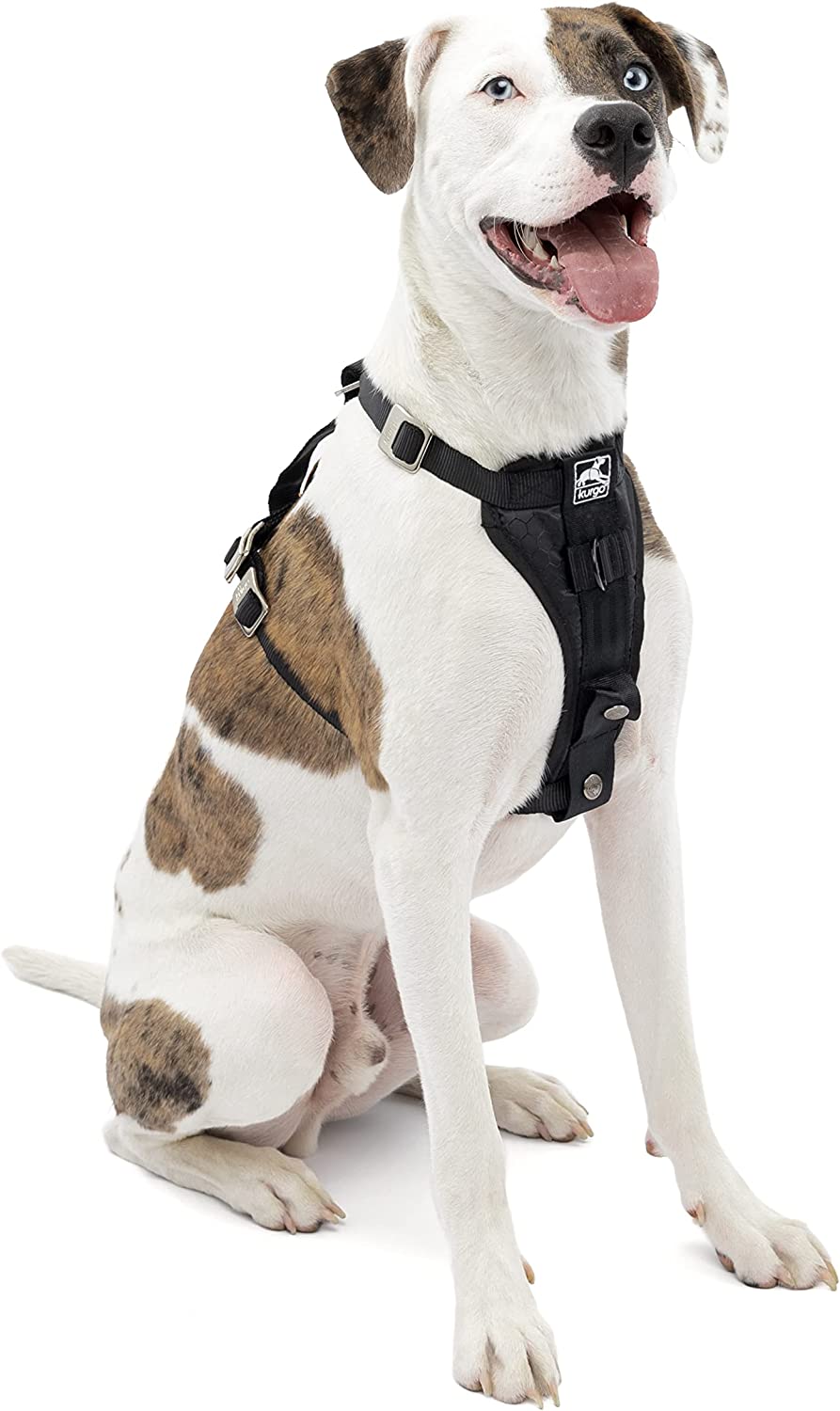 Car Dog Harness - Kurgo Tru-Fit Enhanced Strength Crash Tested Smart， Medium， Black