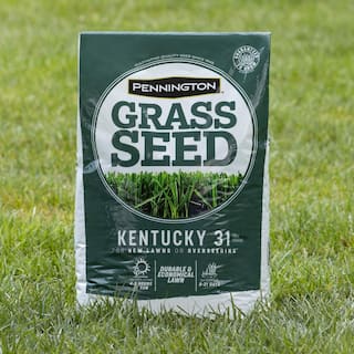 Pennington Kentucky 3140 lbs. Tall Fescue Penkoted Grass Seed (2-Pack) 100537715