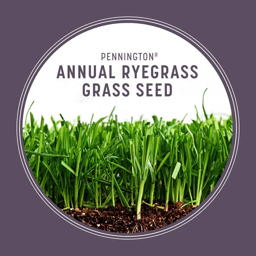 Pennington 50 lb. Annual Ryegrass Grass Seed