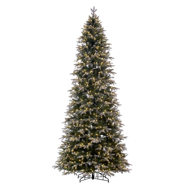 Vickerman 10' x 54 Frosted Douglas Fir Fir Artificial Slim PreLit Christmas Tree，DuraLit® Warm White LED Mini Lights.