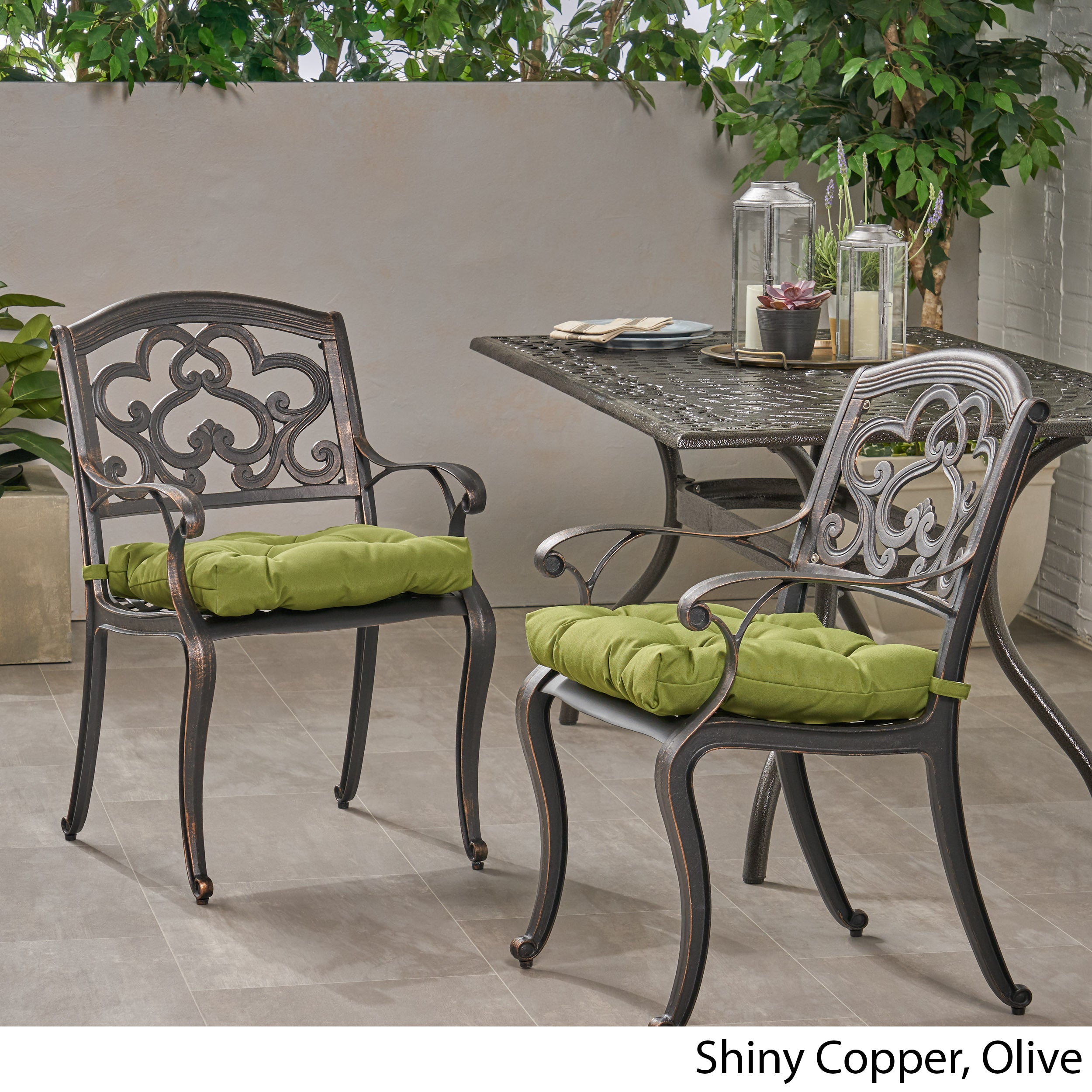 Sher Outdoor Dining Chair with Cushion (Set of 2)