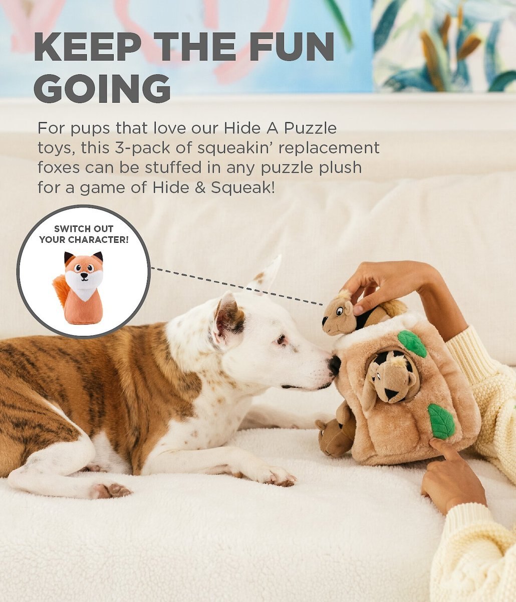 Outward Hound Squeakin' Fox Hide A Puzzle Plush Dog Toy， 3 count