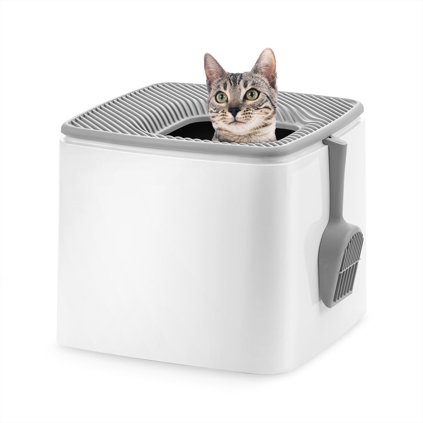 IRIS USA Premium Top Entry Cat Litter Box with Cat Litter Scoop White