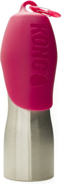 KONG H2O Stainless Steel Dog Water Bottle