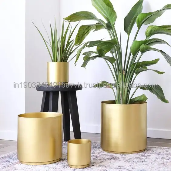 Wholesaler Supplies New Amazing Planters Garden Pot Iron Luxury Flower Stand at Wholesale Affordable Price