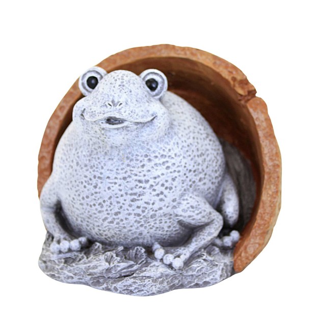 Roman Frog In Pot Statue Pudgy Pals One Garden Statue 5 5 Inches Terracotta 19011 Polyresin Gray