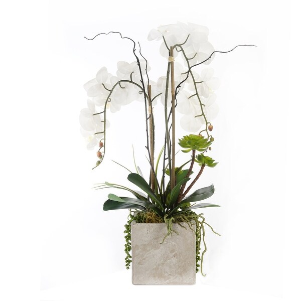 Real Touch White Orchids and Succulents in Square Cement Pot