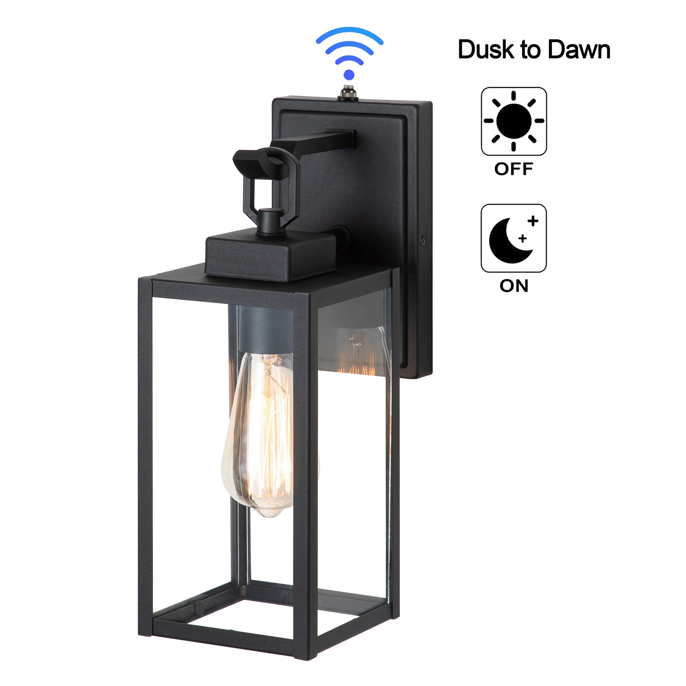 C Cattleya 1-Light Dusk to Dawn Outdoor Wall Lantern, Matte Black Finish for Wet Location, Patio, Garden, Porch