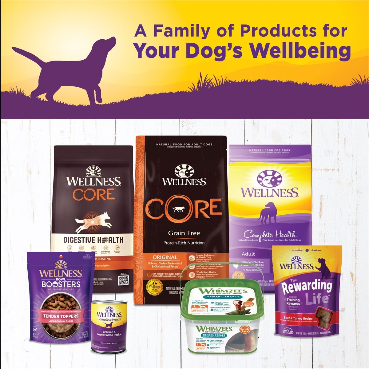 Wellness Complete Health Chicken and Sweet Potato Formula Canned Dog Food