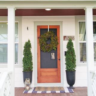 PROVEN WINNERS 2 Gal. Arborvitae Sting Evergreen Shrub 17540