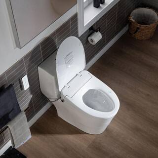 WOODBRIDGE 1-Piece 1.1GPF1.6 GPF Dual Flush Elongated Toilet in White With Advance Smart Bidet Seat HT0067