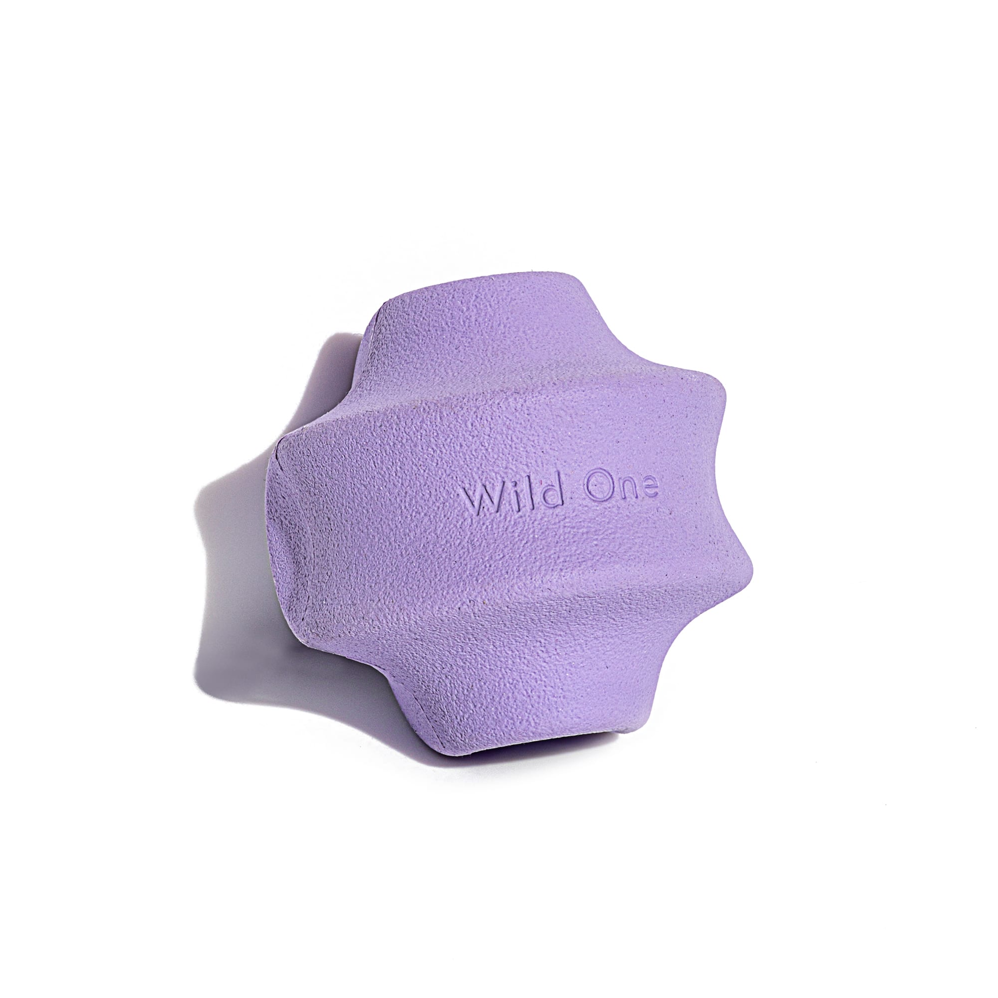 Wild One Lilac Twist Toss Dog Toy， Small