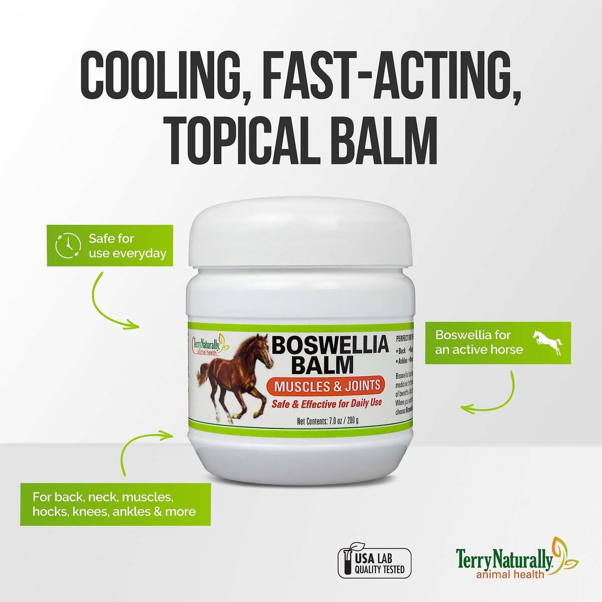 Terry Naturally Animal Health Boswellia Balm Horse Liniment