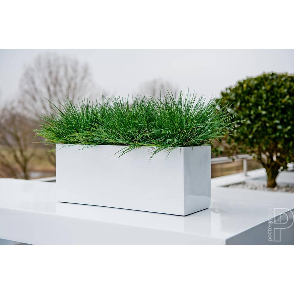 PotteryPots Balcony Extra Large 31.5 in. W Glossy White Fiberstone Indoor Outdoor Modern Rectangle Planter E1105-S1-W