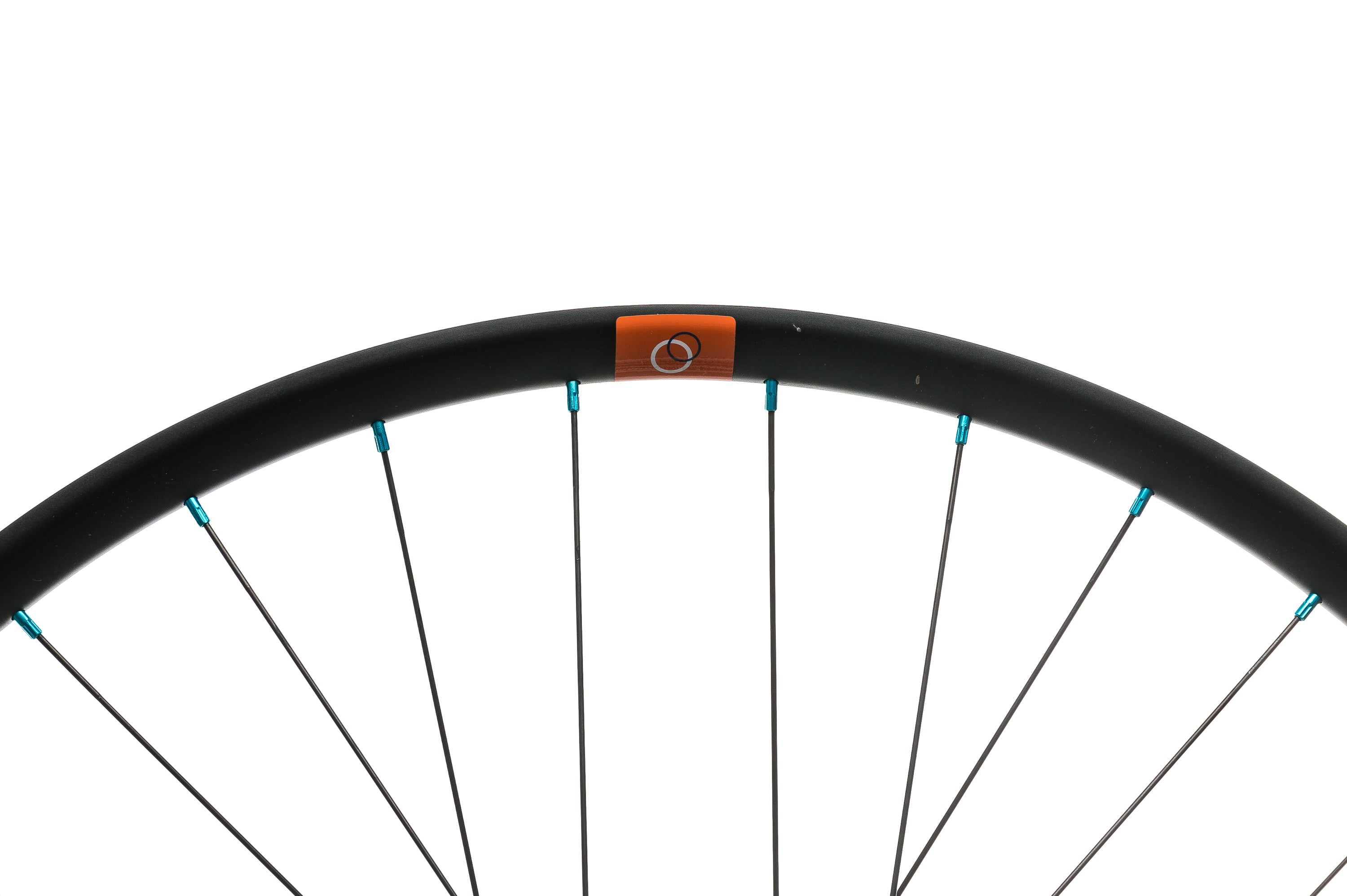 Astral Serpentine w/ Project 321 Hubs Aluminum Tubeless 29