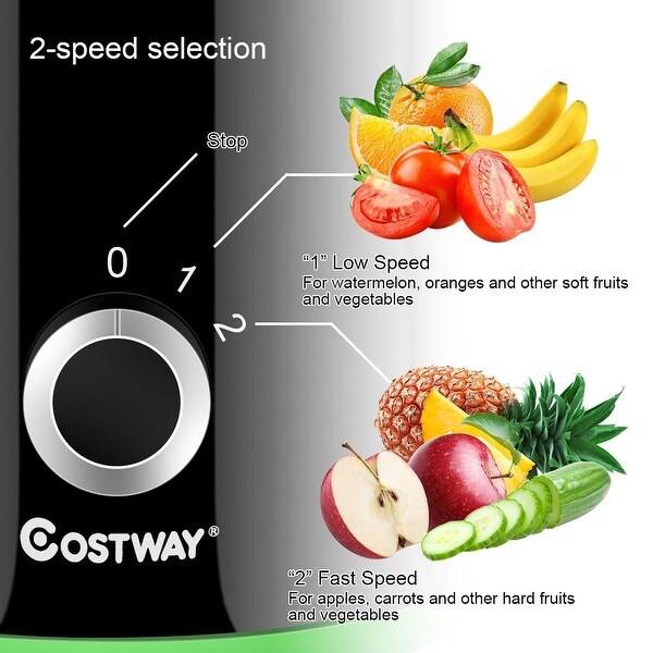 2 Speed Wide Mouth Fruit and Vegetable Centrifugal Electric Juicer - 15