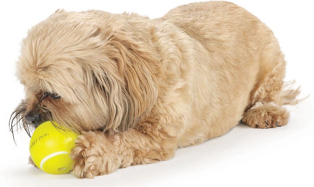 Planet Dog Orbee-Tuff Sport Tennis Ball Tough Dog Chew Toy