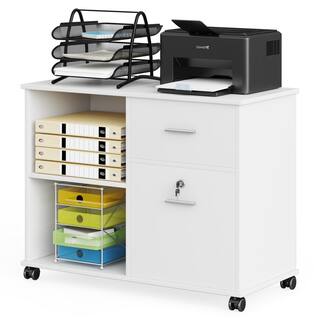 TRIBESIGNS WAY TO ORIGIN Cindy White File Cabinet with 2 Cube and 2-Drawers HD-F1437