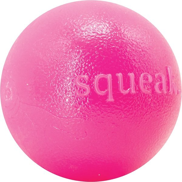 Planet Dog Squeak Ball Dog Toy