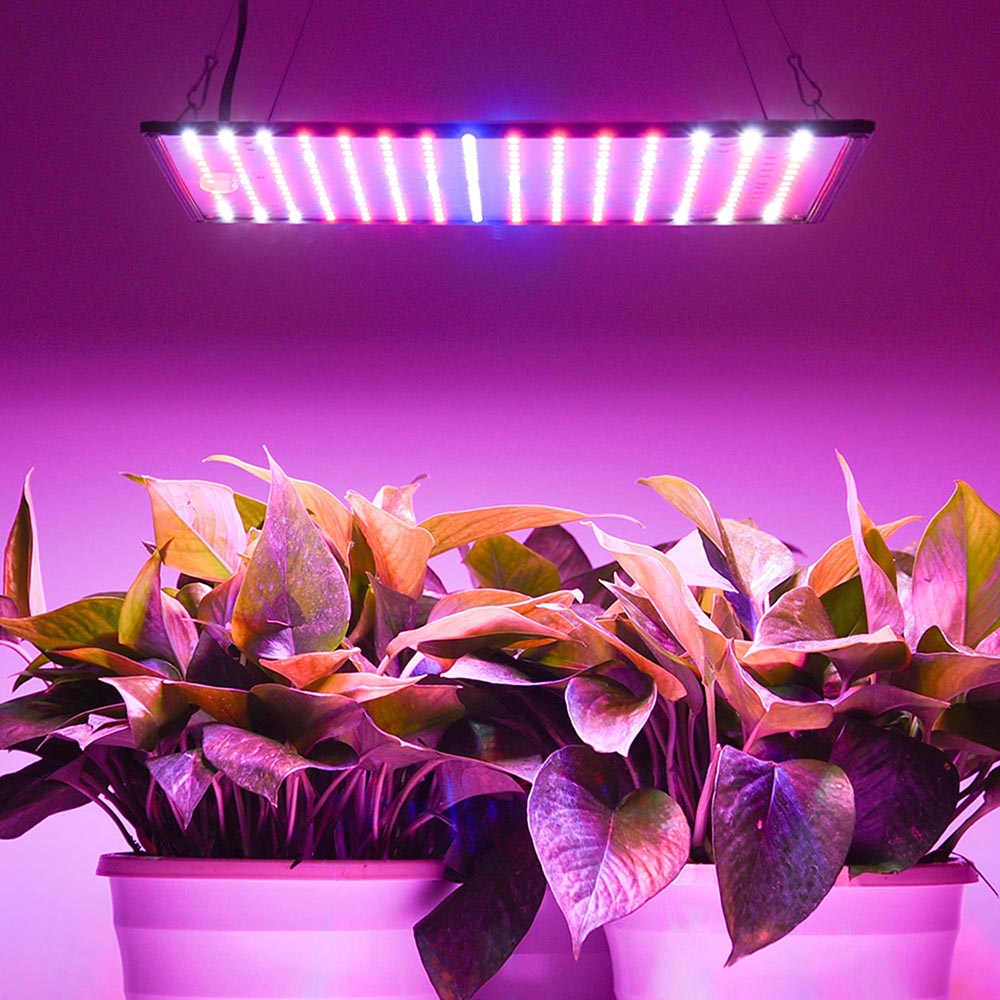 Yescom 225 LED Grow Light Indoor Plants Blue Red Orange White