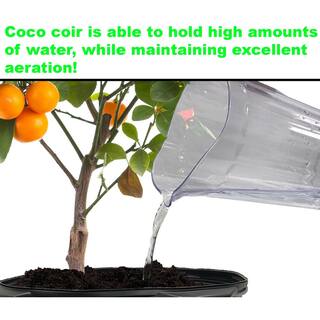 Viagrow 1.4 lbs.650g Premium Coco Coir Soilless Grow Media Coconut Coir Brick (6-Pack) VCCB650-6