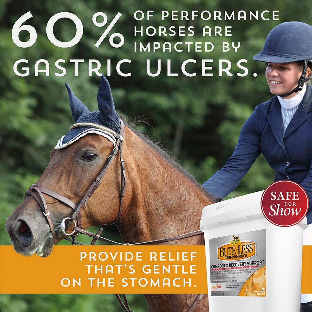 Absorbine Bute-Less Performance Comfort and Recovery Pellets Horse Supplement