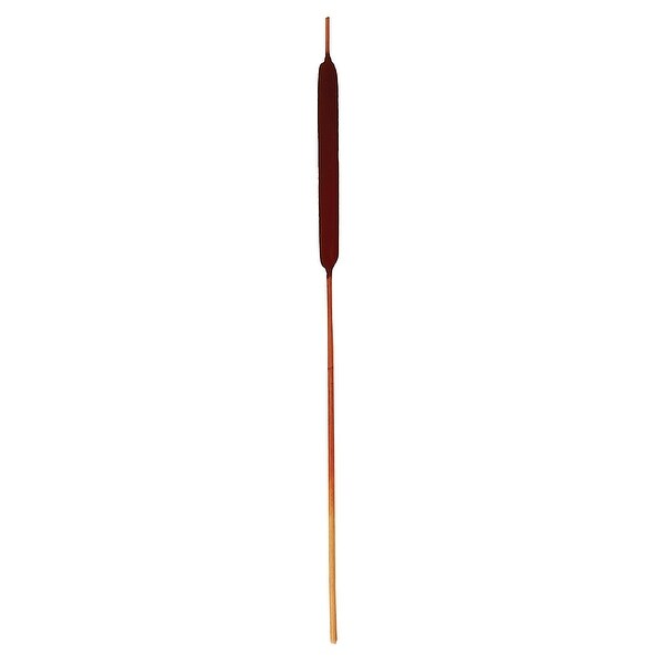 30 Large Cattail x 10，Dark Brown，Set of 4