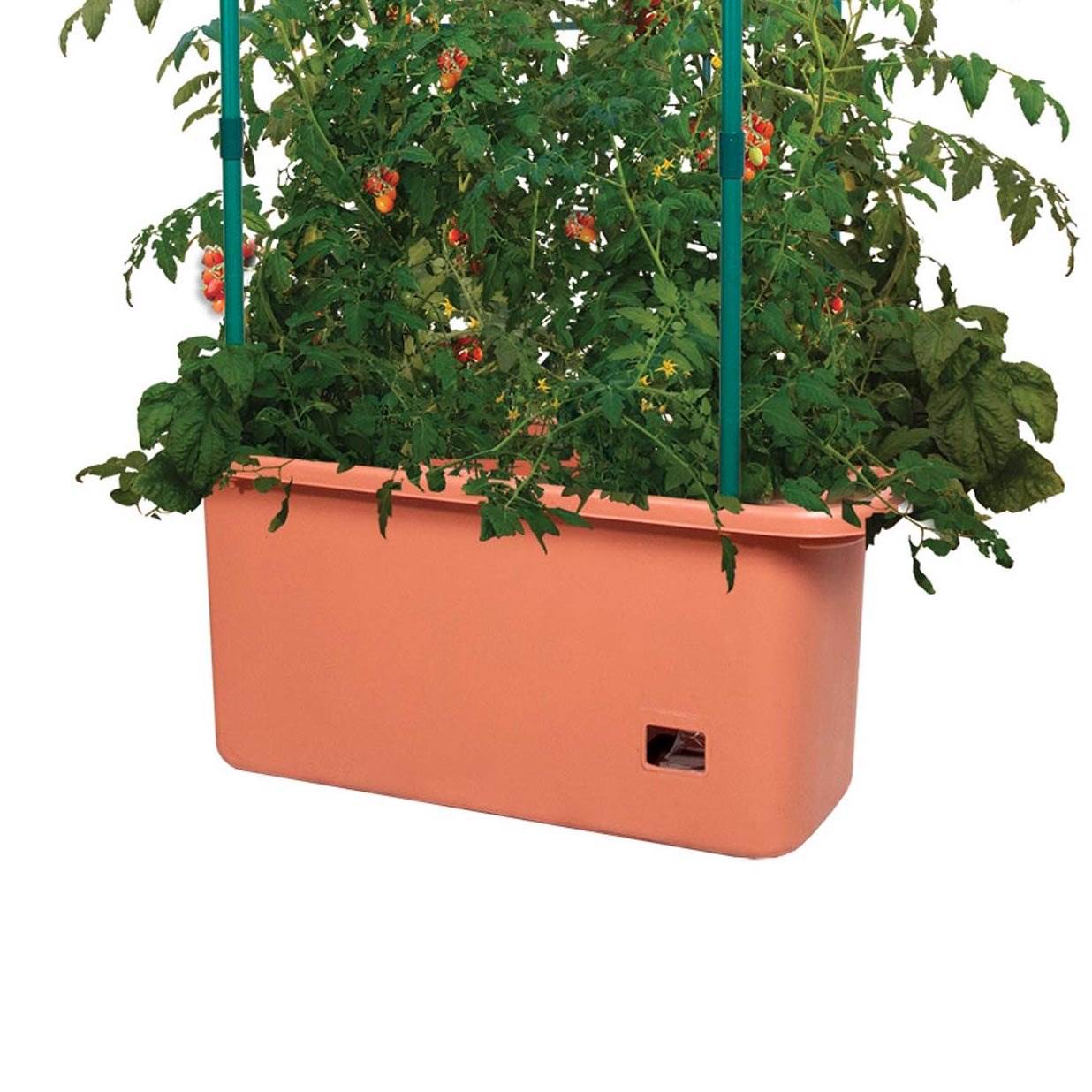 Hydrofarm GCTR 10 Gal Tomato Garden Planting System and 4' Trellis Tower on Wheels