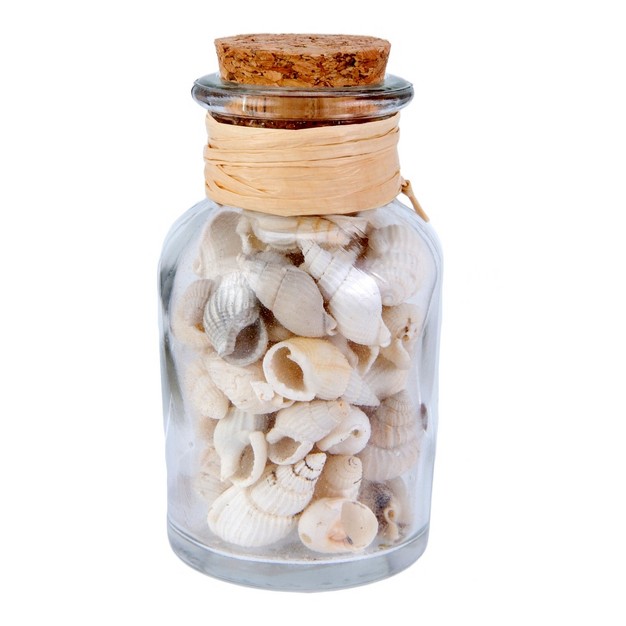 Beachcombers Bottle With White Shells