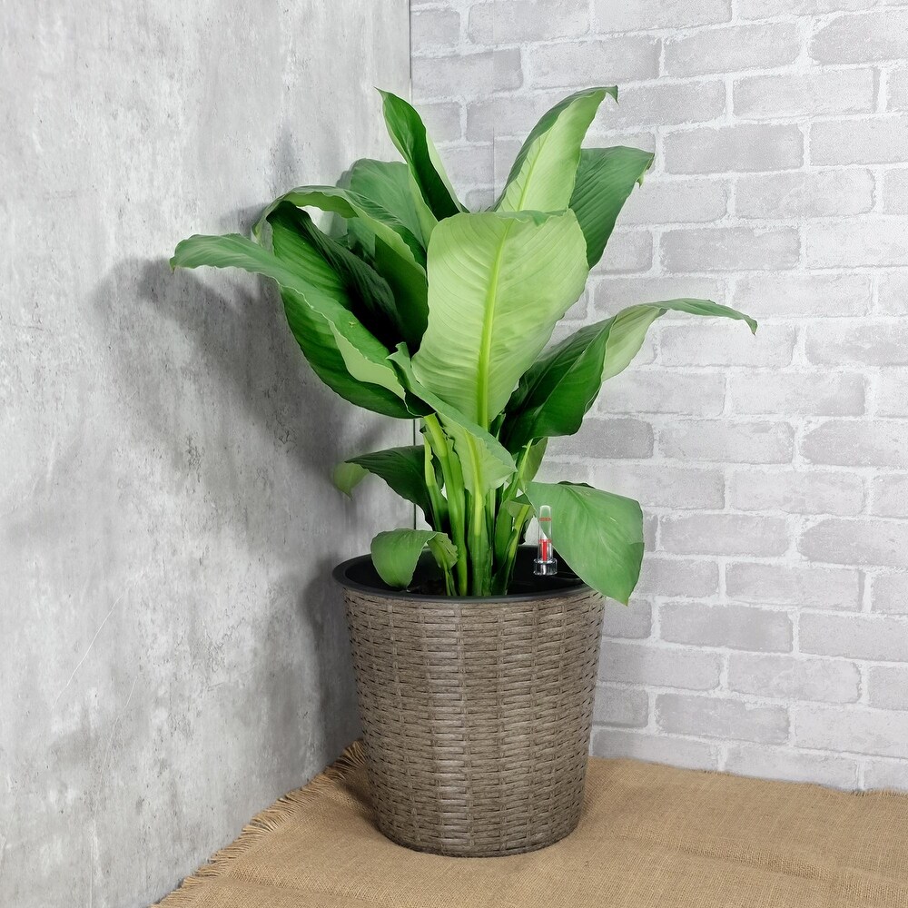 13.4 inch Self watering Wicker Round Decor Planter