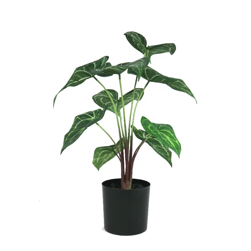 Supplies real touch 9lvs anthurium crystallinum with pot for landscape decoration