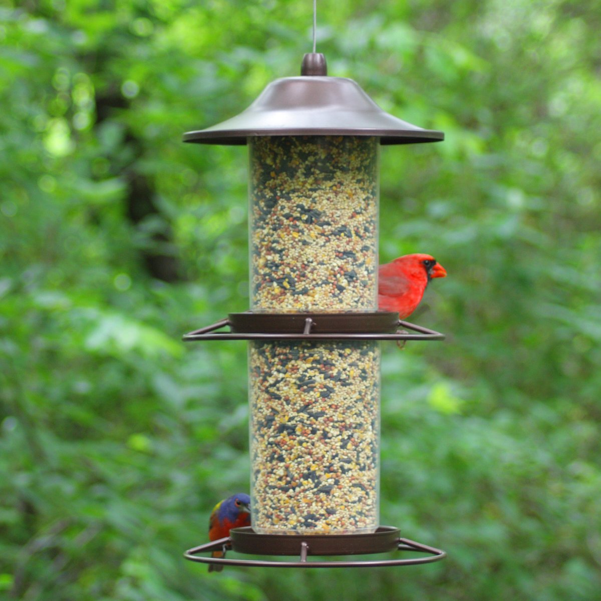 Perky-Pet Panorama Wild Bird Feeder