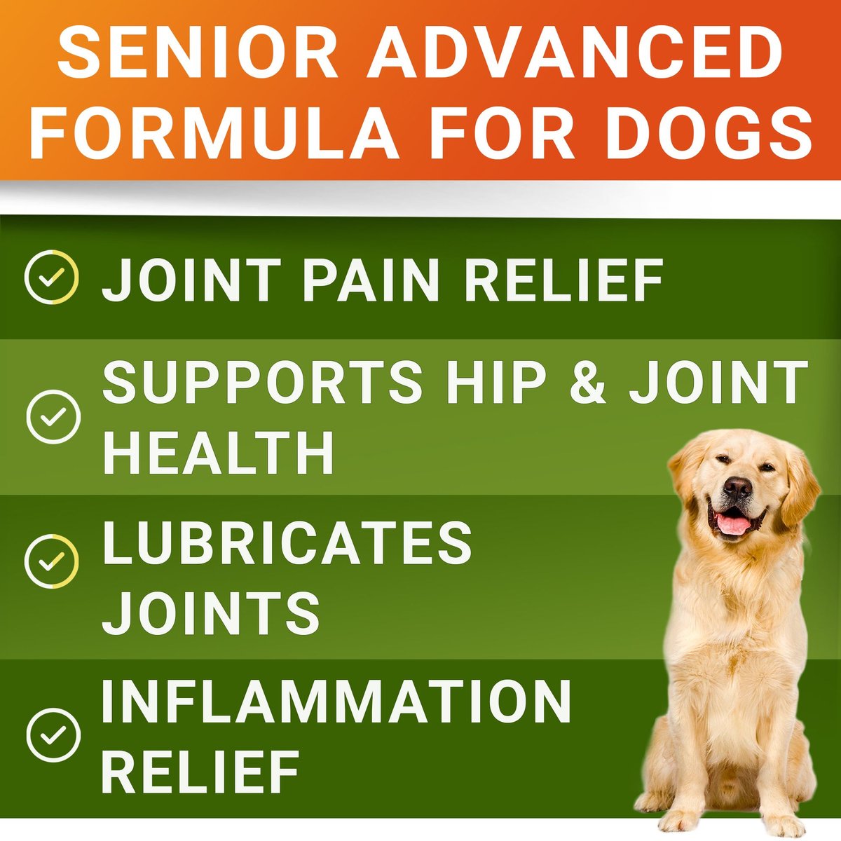 StrellaLab Senior Advanced Glucosamine Omega-3 Soft Chews Bacon Flavor Hip and Joint Pain Relief Dog Supplement， 120 Count