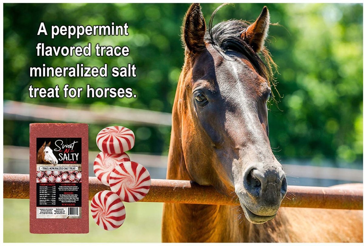 Kalmbach Feeds Sweet N Salty Peppermint Flavored Horse Salt Treat， 4-lb brick