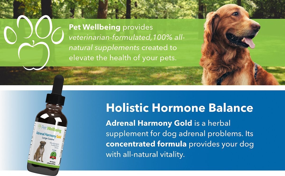 Pet Wellbeing Adrenal Harmony Gold Bacon Flavored Liquid Supplement for Dogs and Cats