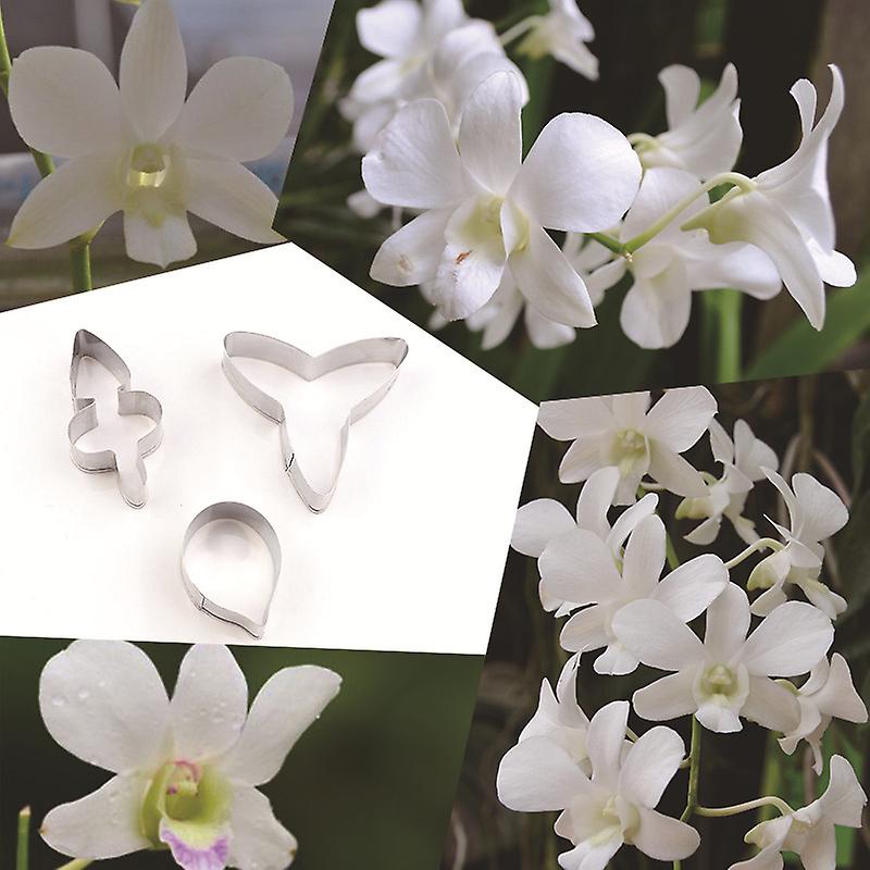 Butterfly Orchid Petal Shape Biscuit Cut - 3pcs/set