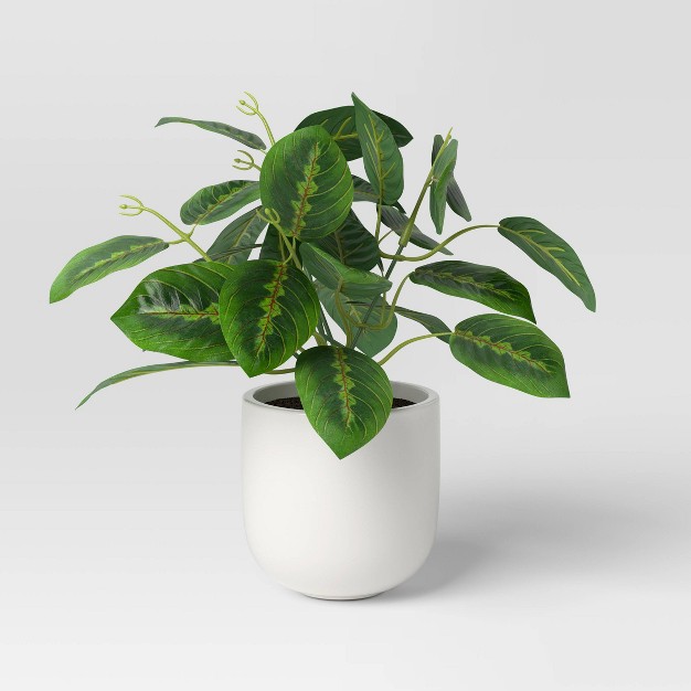 Small Tabletop Maranta Artificial Plant