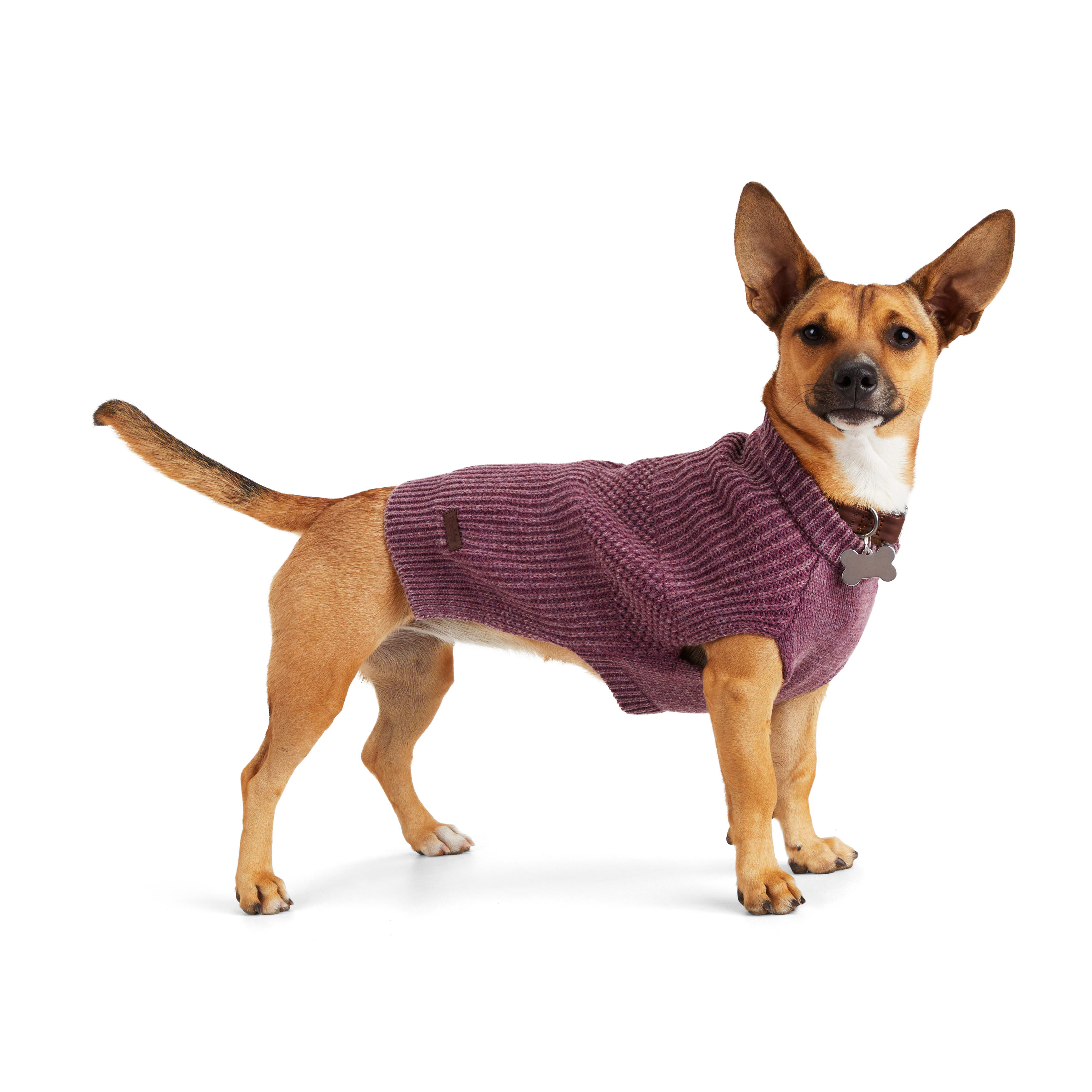 REDDY Magenta Snow Dog Sweater， Medium