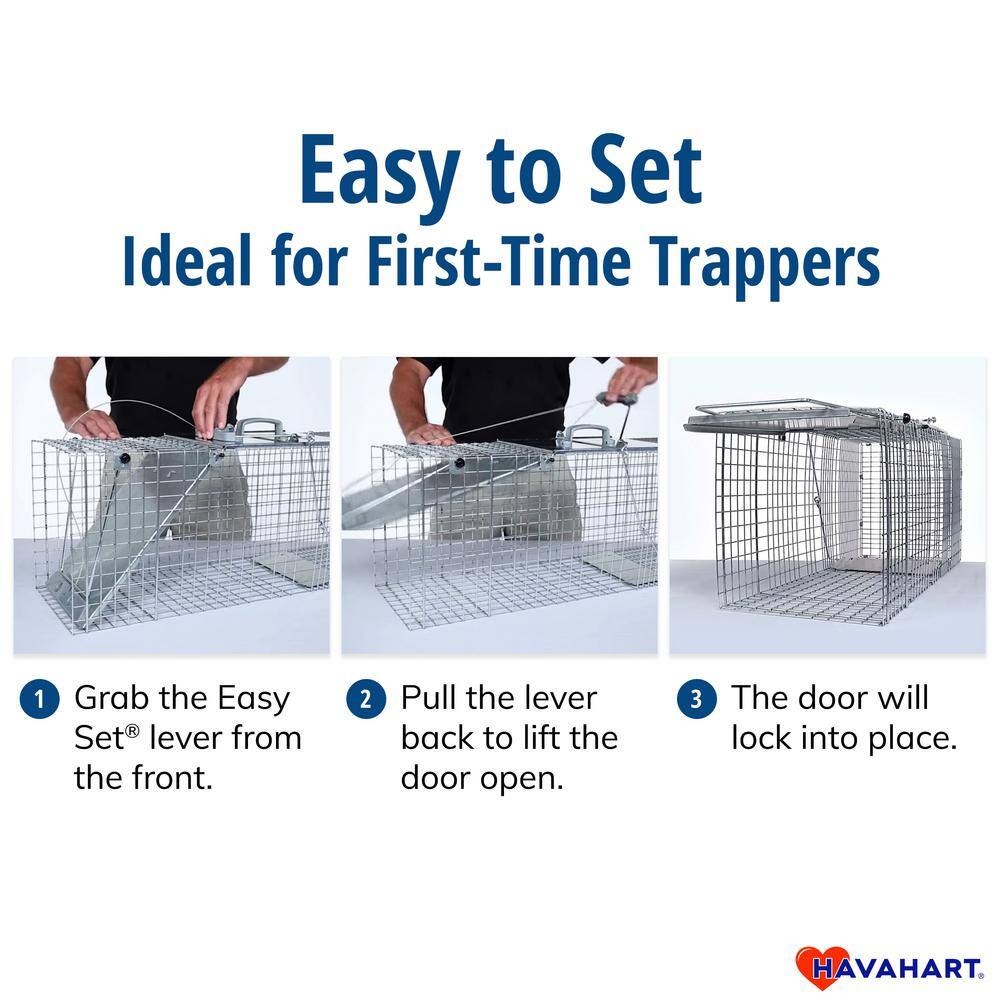 Havahart Small 1-Door Easy Set Live Animal Cage Trap for Squirrel and Rabbit 1083