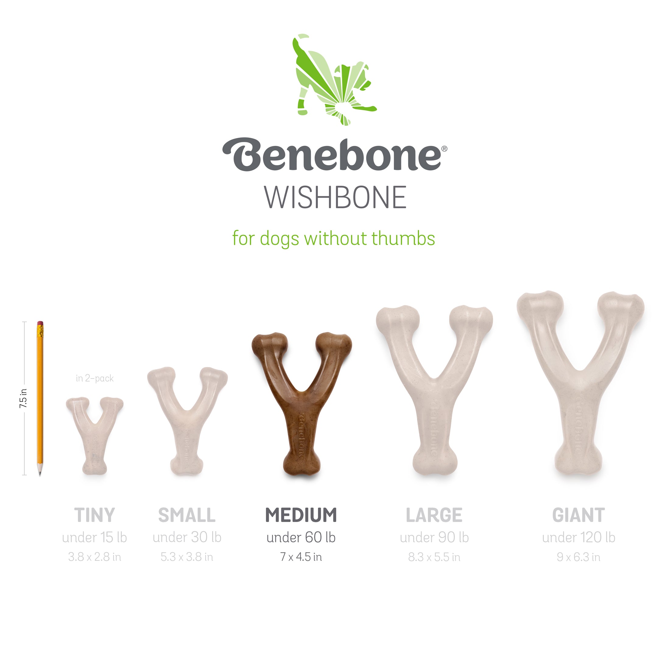 Benebone Real Peanut Durable Wishbone Dog Chew Toy， Medium