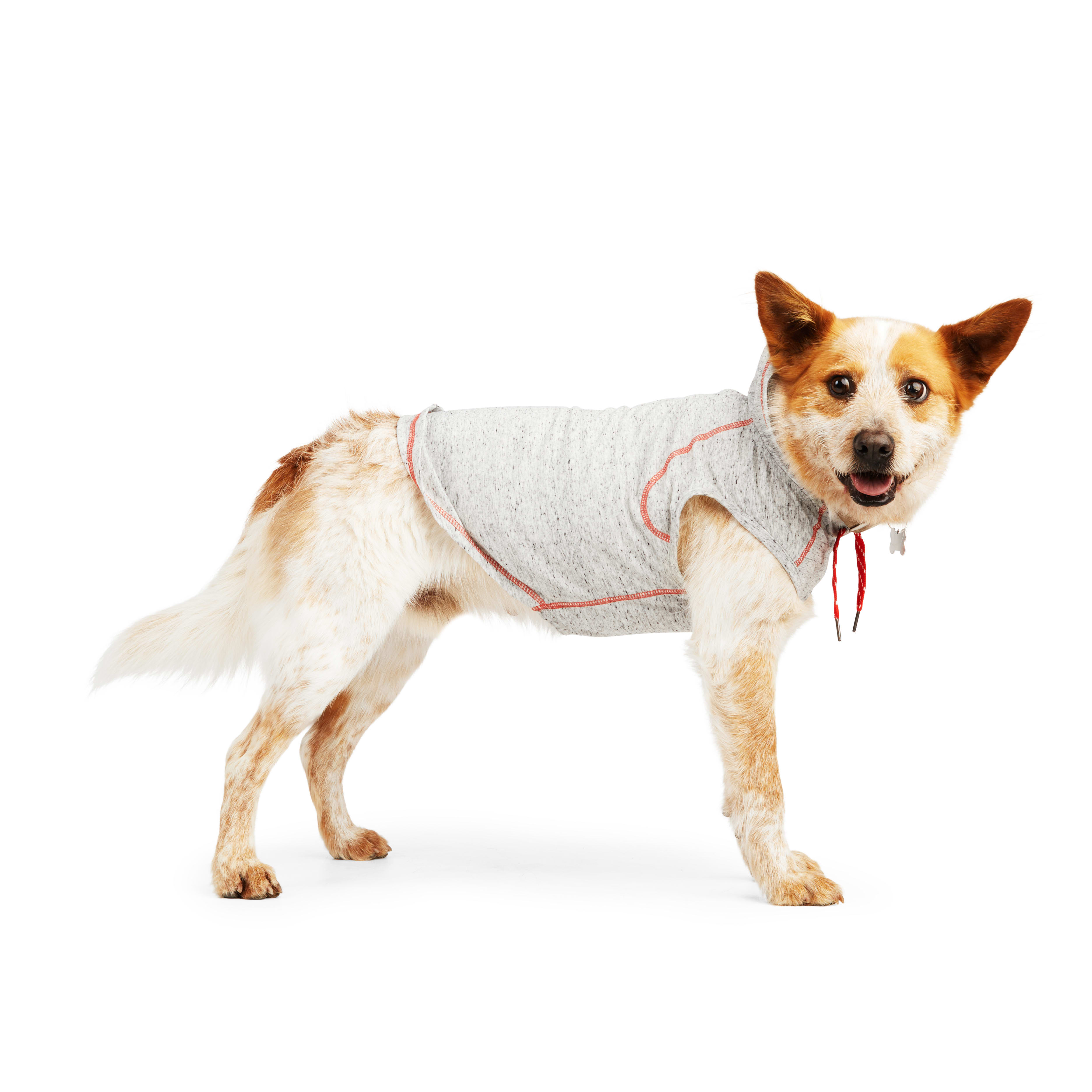 Reddy Grey Hooded Tank for Dogs， X-Small