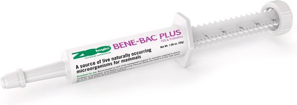 PetAg Bene-Bac Plus Gel Digestive Supplement for Dogs and Horses